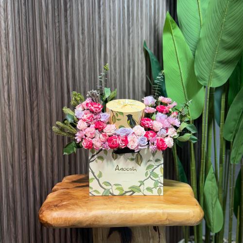 تشوكلت انوش