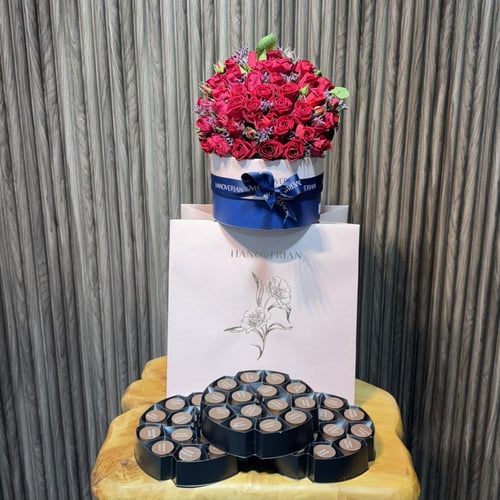 شوكلت هنوفيرين 48