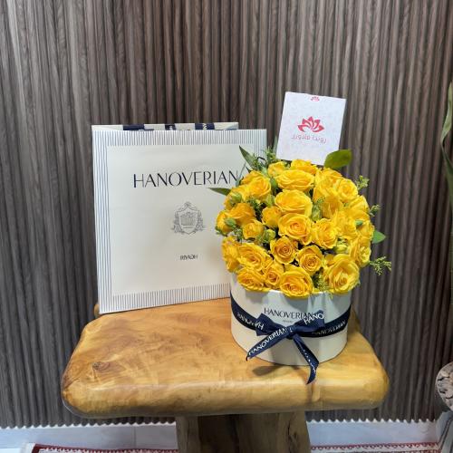 باقه هنوفيرين 7