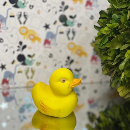 Duck 3D