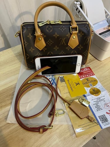 Speedy Louis Vuitton
