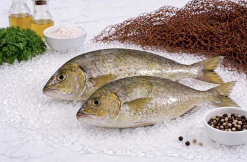 Fresh Sejan fish (per kilogram)