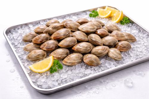 White oysters - fresh (per kilo)