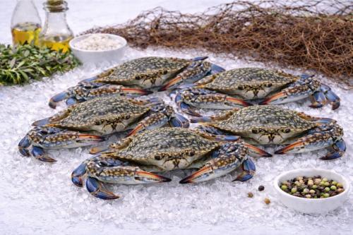 Fresh crab (per kilogram)