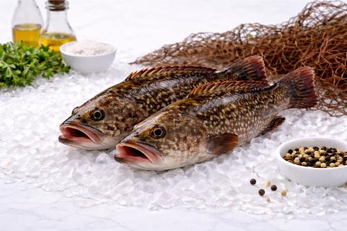 Fresh Hamour fish (per kilo)