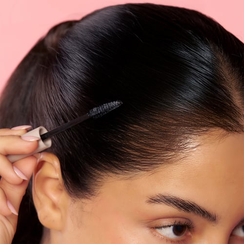 صندوق توزيعات العيد