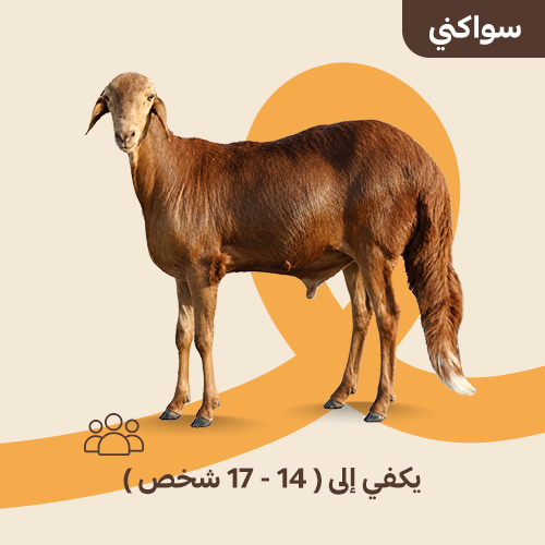 سواكني
