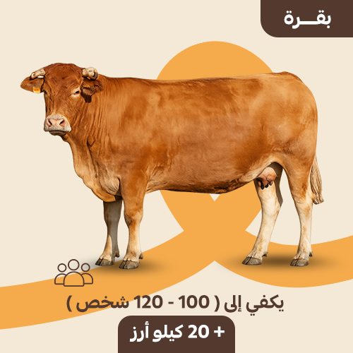 بقرة كبيرة