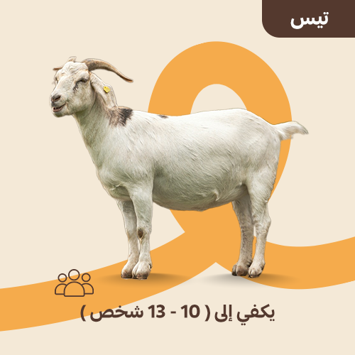 تيس