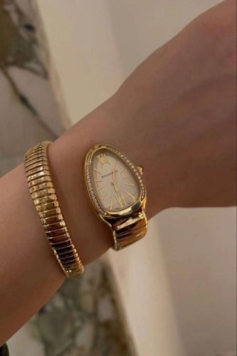 ساعة الثعبان الانيقة