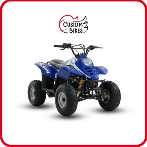 دباب 4 كفرات مقاس 110cc: A7-02 لون ازرق