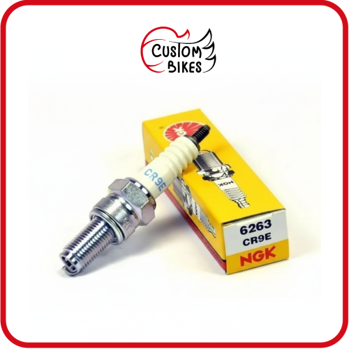 بواجي NGK 6263