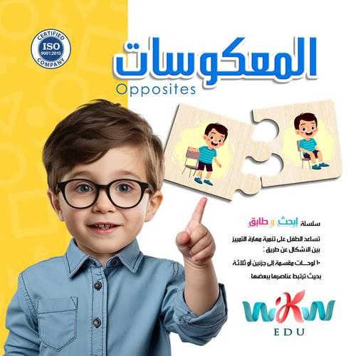لعبة خشبية المعكوسات