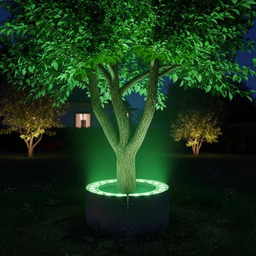 كشاف خارجي شجر دائري قطعتين لون الانارة اخضر قطر م...