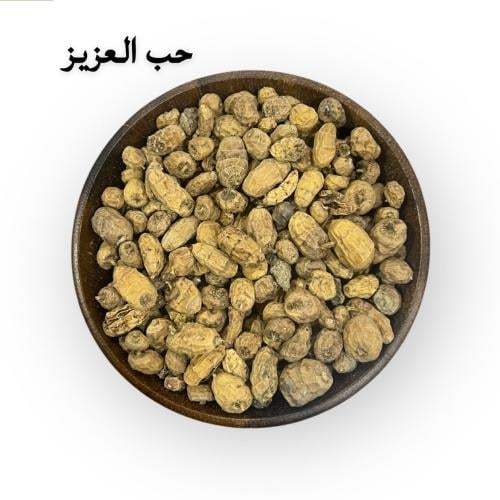 حب العزيز (مطحون - حبوب)