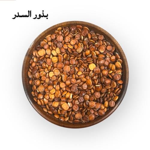 بذور السدر
