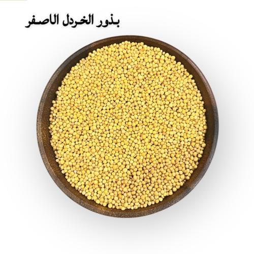 بذور الخردل الاصفر