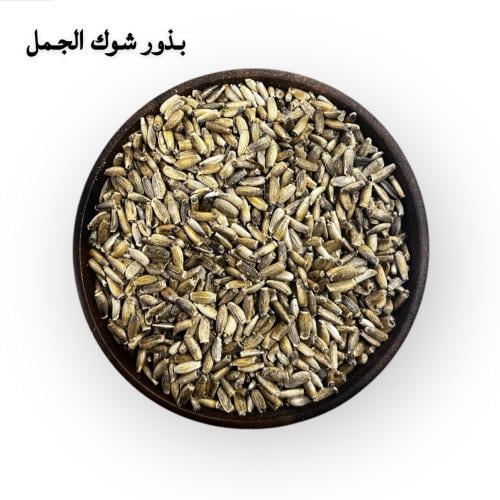 بذور شوك الجمل