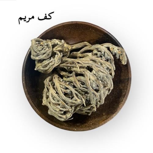 عشبة كف مريم