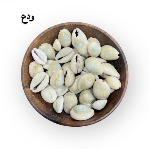 الودع المغربي (مطحون - عادي)