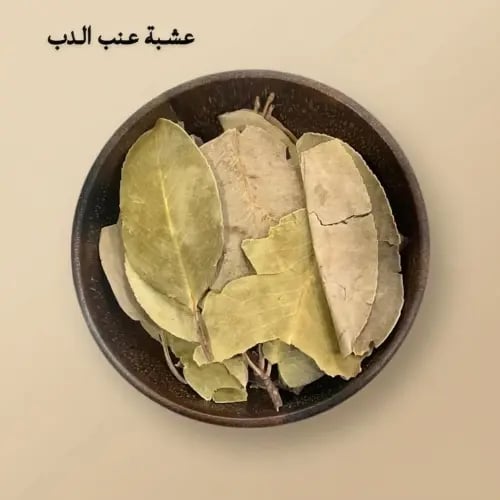 اوراق عنب الدب