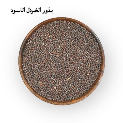 بذور الخردل الاسود