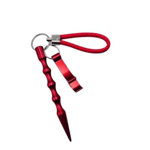 ميدالية الحماية