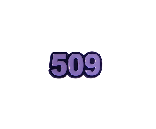 رمز 509