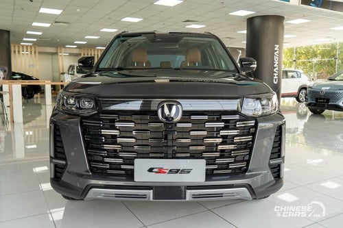 بطانة رفرف خلفي يسار CS95 19-25