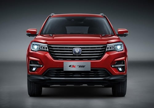 بلف تبخير البنزين CS75 20-23