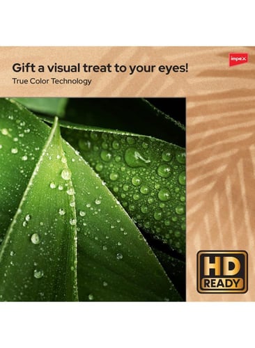 شاشة امبكس جلوريا عادي 32 بوصة GLOREA 32 HD LED TV