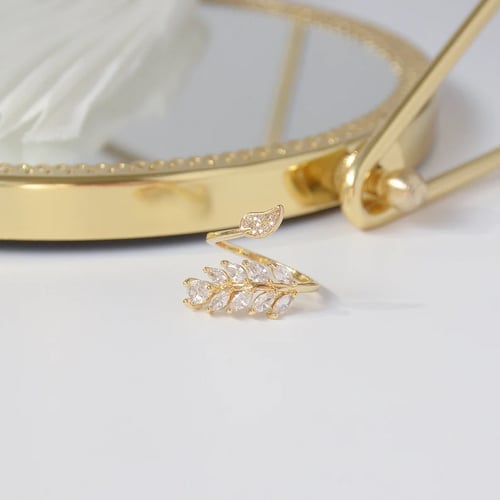 خاتم الريشة