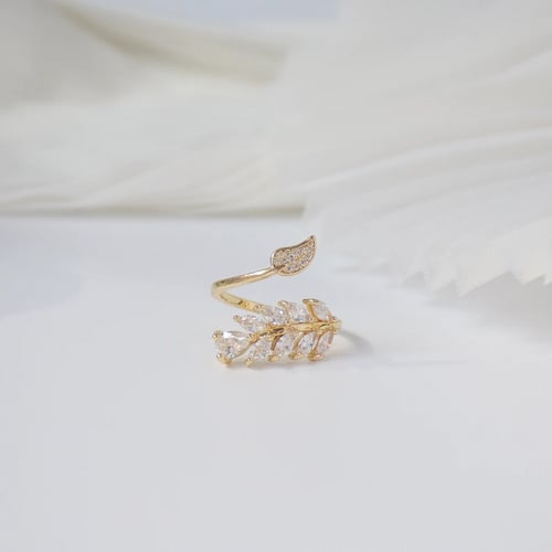 خاتم الريشة