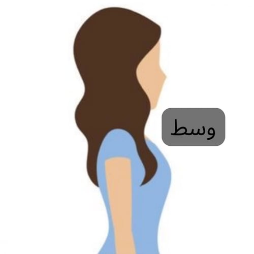 معالج البروتين