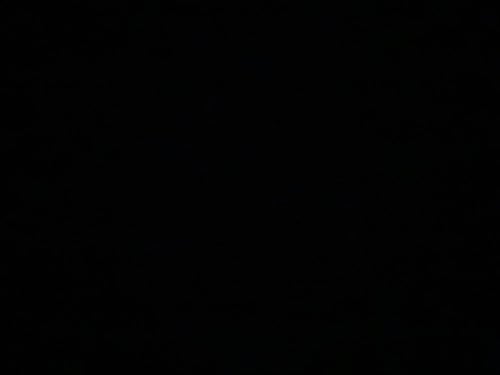 شمعة القط الحنون | مارشميلو