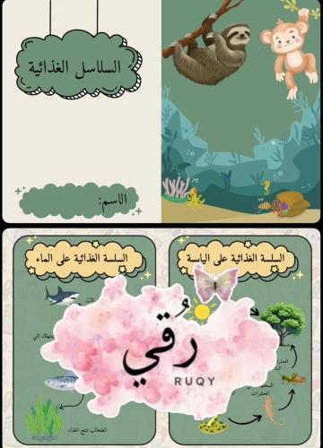 مطويه علوم الصف الثاني ( السلاسل الغذائية)