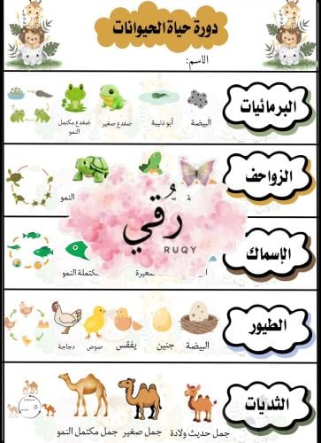مطويه علوم الصف ثالث ابتدائي ( دورة حياة الحيوانات...