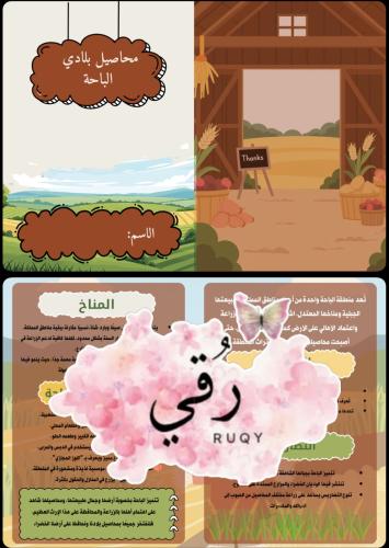 مطويه محاصيل بلادي مدينة ( الباحة)