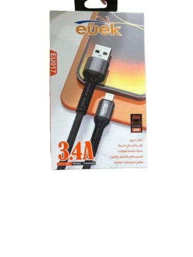 iPhone charger