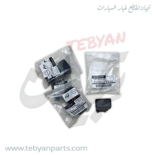 زر فليشر دتسن 2001 الى 2016 نيسان اصلي