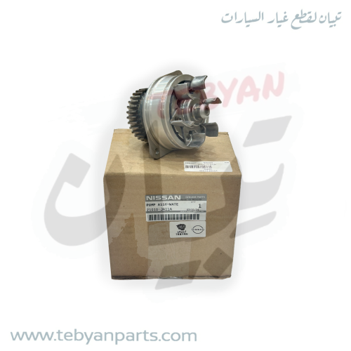 طرمبة ماء التيماء 6 سرندل 2008 الى 2018 اصلي