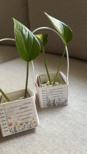 توزيعات يوم المعلم