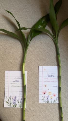 توزيعات يوم المعلم