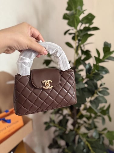 شنطه كايلي بني