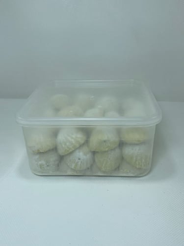 معمول سكر عبوه 48 حبه