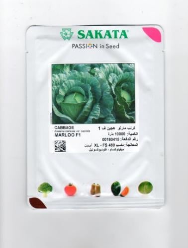 ملفوف مارلو سكاتا