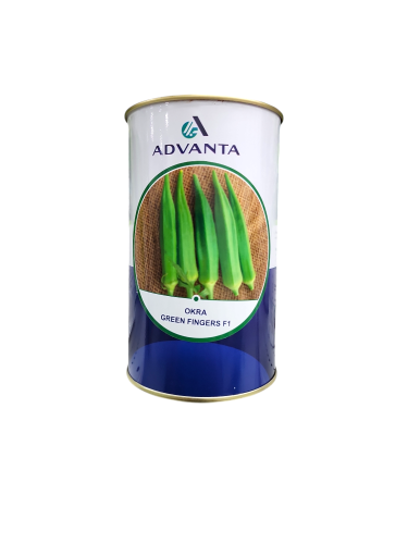 Green finger okra 400 grams