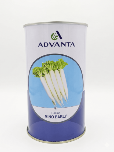 White radish seeds - Advanata Mino Early - 400 gra...