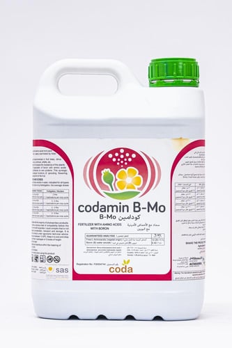 سماد كودا مين بي أم أو اسباني - 5 لتر