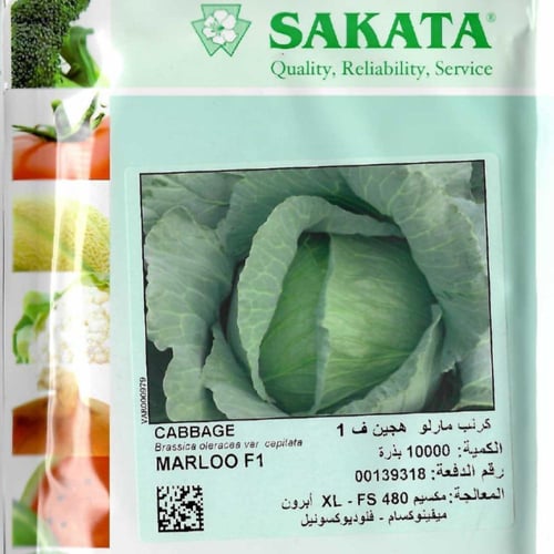 ملفوف مارلو سكاتا